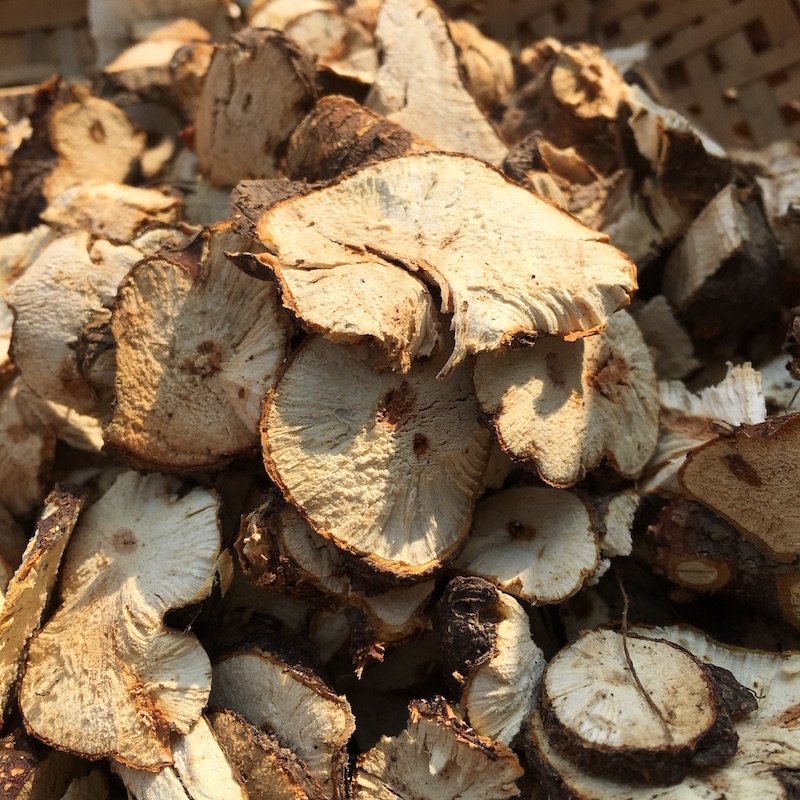 金荞麦根干品1斤 野生苦荞麦根野荞麦根乔麦根中草药材现挖现晒