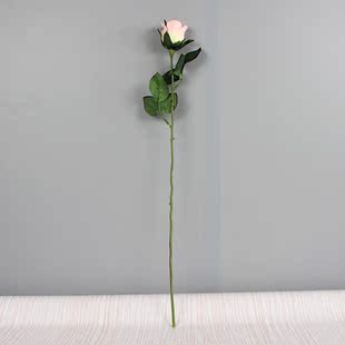 ڼ Сõ廨 ٻϻ  װλ ֧ ҾӰڼװ