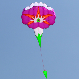 风筝 新款 喇叭花 单线软体 牵牛花 花风筝 休闲软体风筝