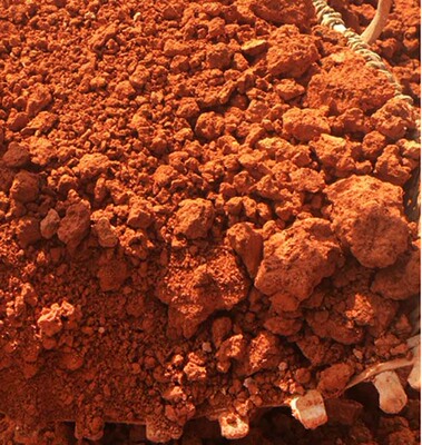 现挖深山红泥土种花黄泥土腌蛋红泥土盆栽红砂土酸性