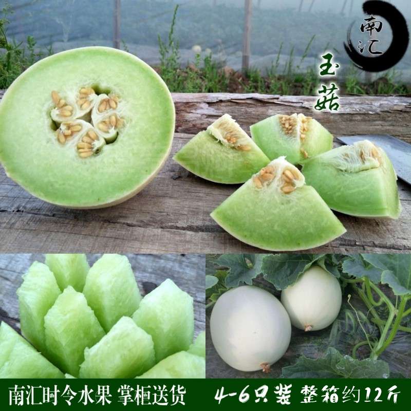 【優果】上海南匯玉菇甜瓜 5斤2-3個青皮綠肉蜜瓜香瓜哈密瓜