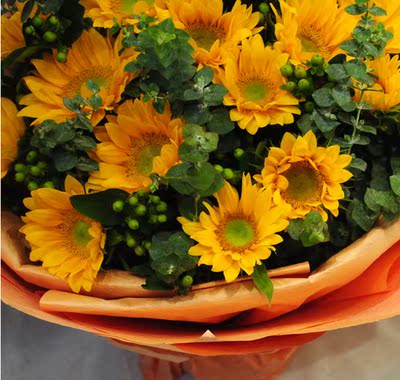 15枝向日葵 苏州鲜花快递 生日男士友情 同城鲜花店 情人节送花