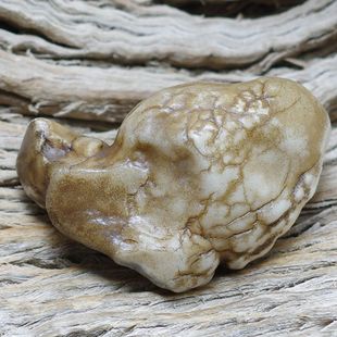 奇石 哈密地表蛋白石 新疆蛋白石 欧泊原石 奇石 戈壁石天然原石