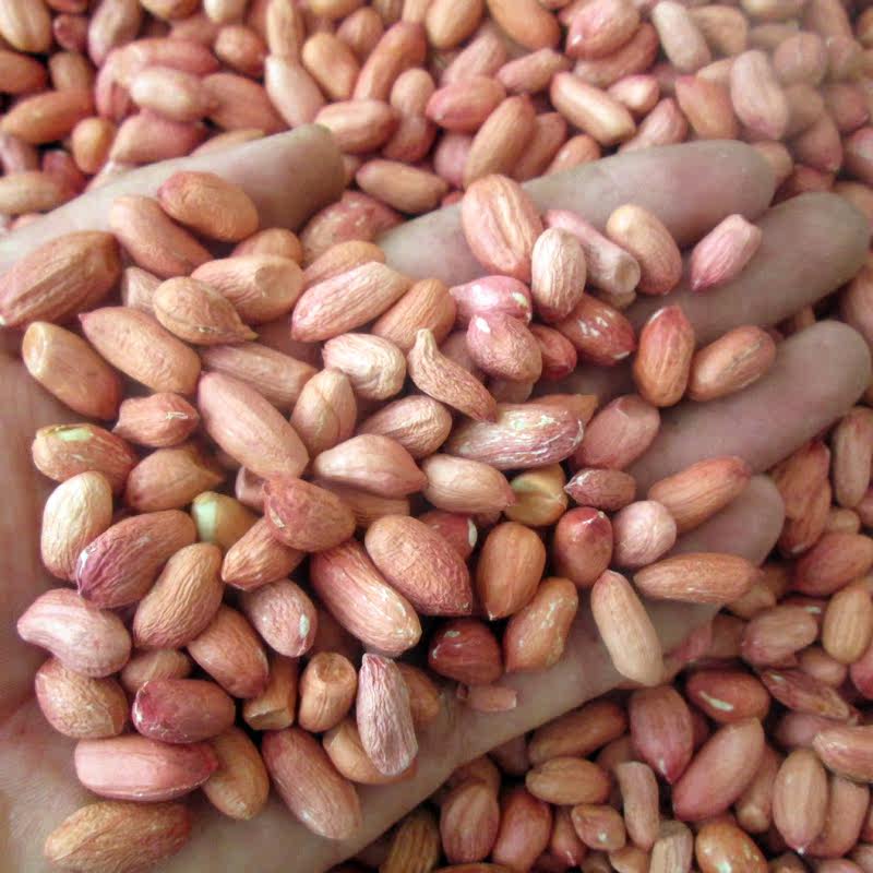 哪儿批发生花生米 哪儿批发生花生米