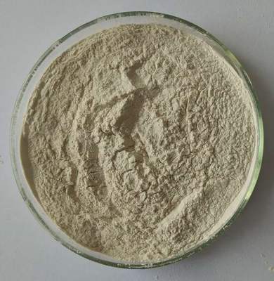 包邮50亿1克胶冻样芽孢杆菌胶质芽孢杆菌厂家直销有机肥解磷解钾