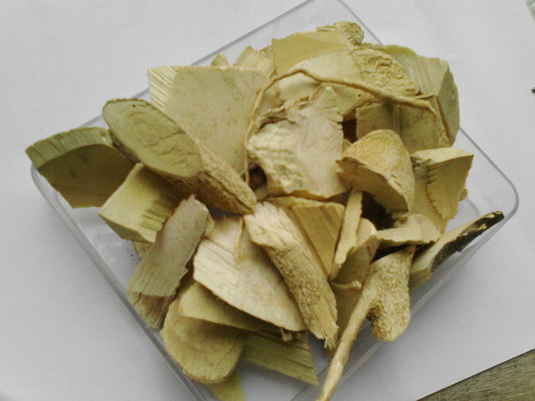 野生无硫三叉苦 根 猫人参 小黄散 三丫苦三叉虎500克