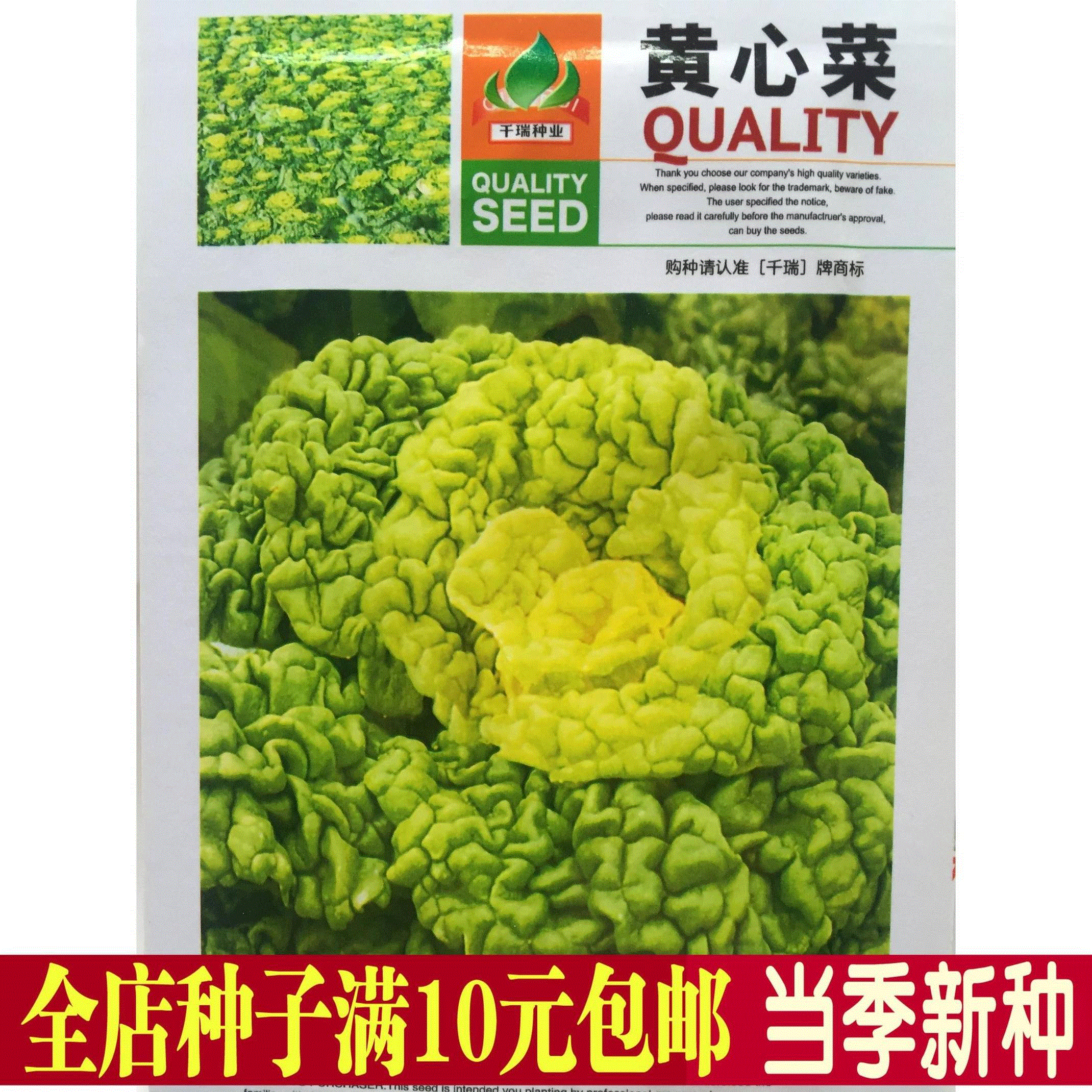 蔬菜种子 上海黄心菜种子 菊花菜种子 黄心乌黄芽菜易种易活好吃$13.