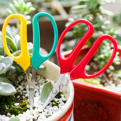 特价园林翘头园艺剪采果剪刀指定款蔬果剪葡萄桔子剪柑橘采摘剪