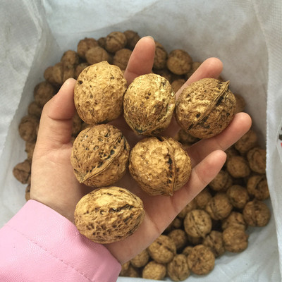 纸皮大泡果原味生核桃坚果云南野生薄壳薄皮核桃新货仁肥饱满500g