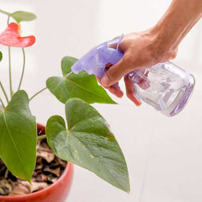手压式洒水壶园艺喷水壶浇花神器喷雾瓶喷壶多肉植物喷水瓶