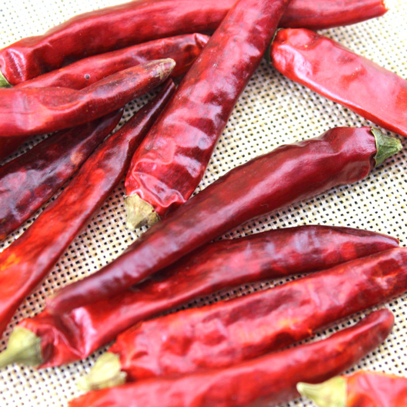 正宗重庆特产石柱红5号干辣椒超辣超香四川特级朝天椒农家海椒50g