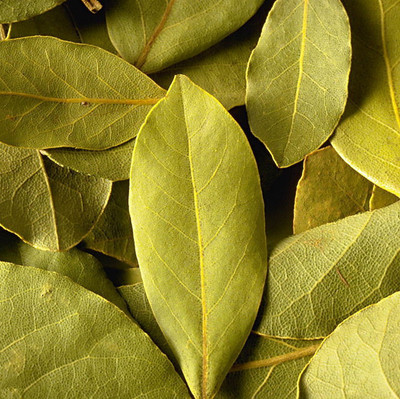 天然香叶 川菜火锅底大料 烧菜炖菜调料 卤料月桂叶香辛料调味品