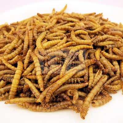 面包虫小仓鼠用品加强营养仓鼠最爱天然面包虫干仓鼠粮食零食50g