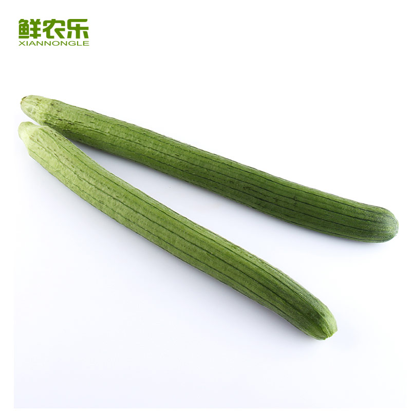 【鲜农乐】农家丝瓜800g/份 线丝瓜 青菜 应季蔬菜 新鲜采摘