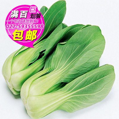 上海青500g 青菜 新鲜蔬菜 武汉满百包邮 同城配送