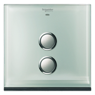 智能家居 施耐德智能家居 2键移动开关(香槟金)无线控制系统 奥智