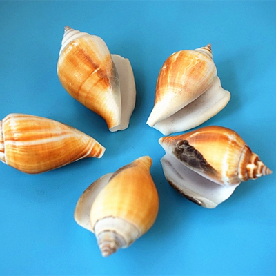 70 元 最近30天销量:月销 0 笔 商品来源:        由卖家 小翔哥123