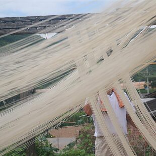 月子 王家巷 素面 古法手工纱面 线面 米面 长寿面 月子面 面线