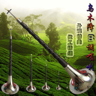 乐器 高档黑檀降b调唢呐 送哨片 中号乐器包邮初学演奏