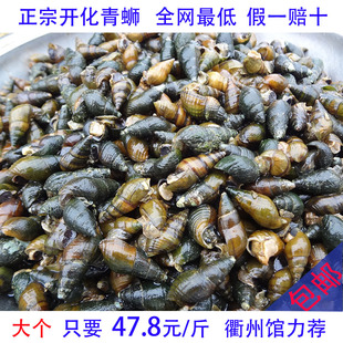 淡水青螺图片,青螺图片,大青螺图片_大山谷图库