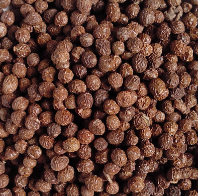 野生梧桐籽 梧桐树籽 梧桐树子梧桐子 瓢儿果 桐麻豌500克2件包邮