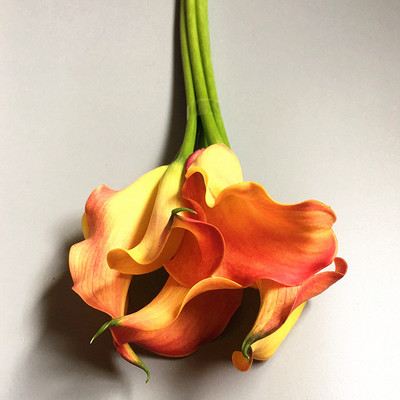 家居办公室婚礼插花 彩色海芋花 桔色马蹄莲 生日爱情礼物 速递