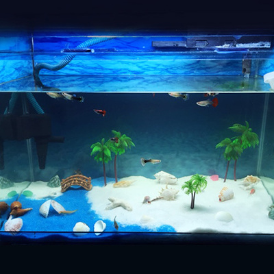 白沙子鱼缸装饰造景底砂水族雪花白拍摄道具石英砂地台装饰精细沙
