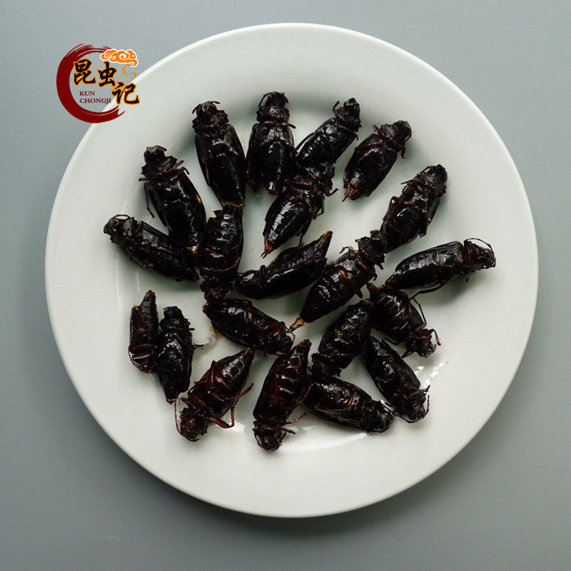 炸母山水牛 野生山山牛 山虫牛 带籽 野味虫子 5只