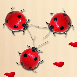 墙贴 仿真瓢虫 立体墙贴标本特价 婚房布置 店面装饰用品 教育用品
