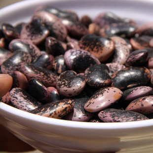 雪山 牛眼豆 大花豆 大黑花芸豆 云南雪山大花黑芸豆500g