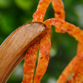 湘式挤压糕点 湖南特色麻辣小吃零食 重庆担担面 长细辣条30克促