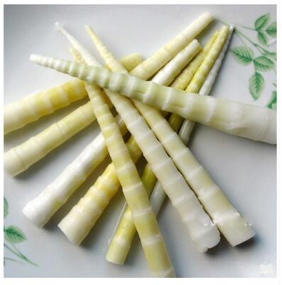 罗汉笋小野笋新鲜野竹笋新鲜笋 清水笋笋片 水煮笋 鲜笋尖野笋
