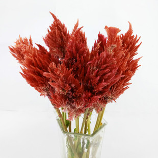 昆明斗南多头多色凤尾鲜花花束顺丰空运损坏赔偿