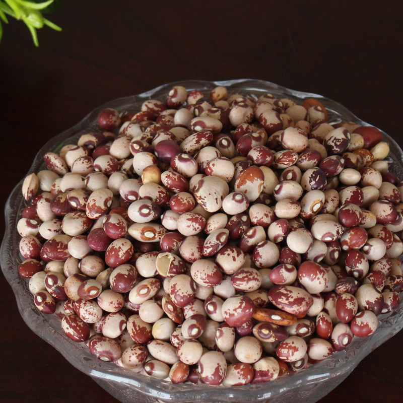 熊猫豆500g 贵州农家自种猫眼豆 天然花豆江豆芸豆 五谷杂粮 包邮