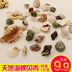 天然海螺貝殼魚缸裝飾品卷貝魚寄居蟹套裝海星地臺擺件送手鍊