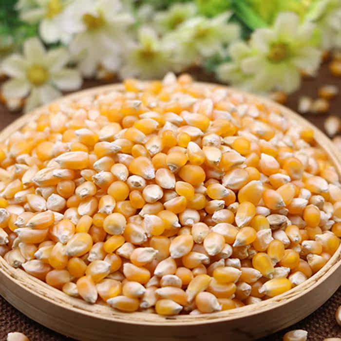 爆米花专用小玉米250g 特级玉米粒原料爆裂棒子粒农家自产2斤包邮