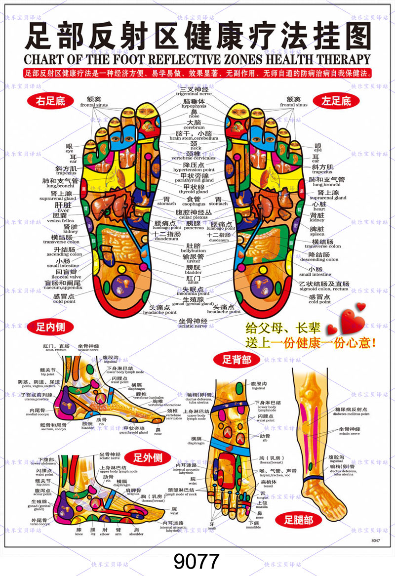 人體經絡穴位掛圖全套中醫經絡針灸穴位標準大掛圖套裝包郵可批發