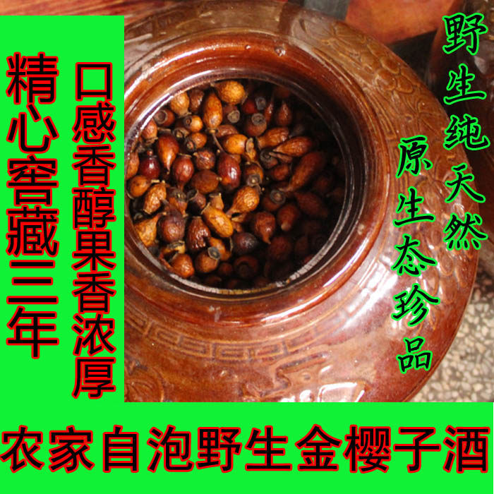 野生金樱子酒农家泡窖藏糖罐子刺梨子山石榴滋补养彦一件5斤包邮