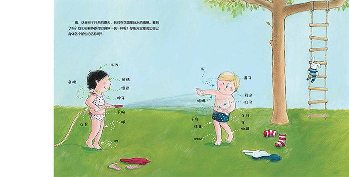 可爱的身体 比利时原版引进 好看好玩的科普绘本书 3-6周岁儿童启蒙