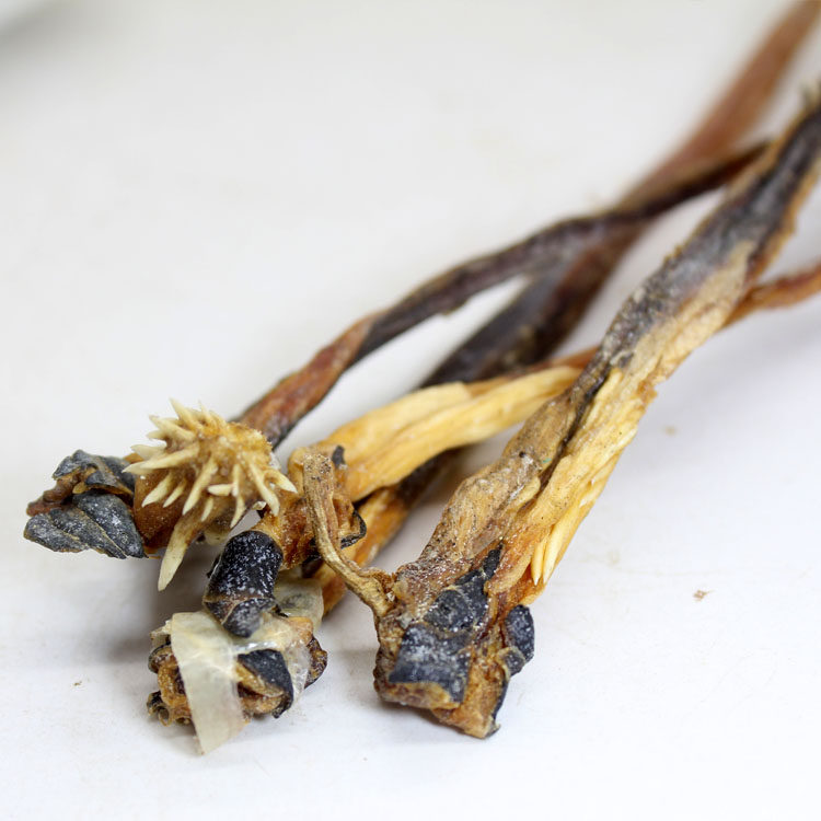 中药材蛇鞭 泡酒料干蛇鞭 五步蛇鞭 1条2.8 5条包邮