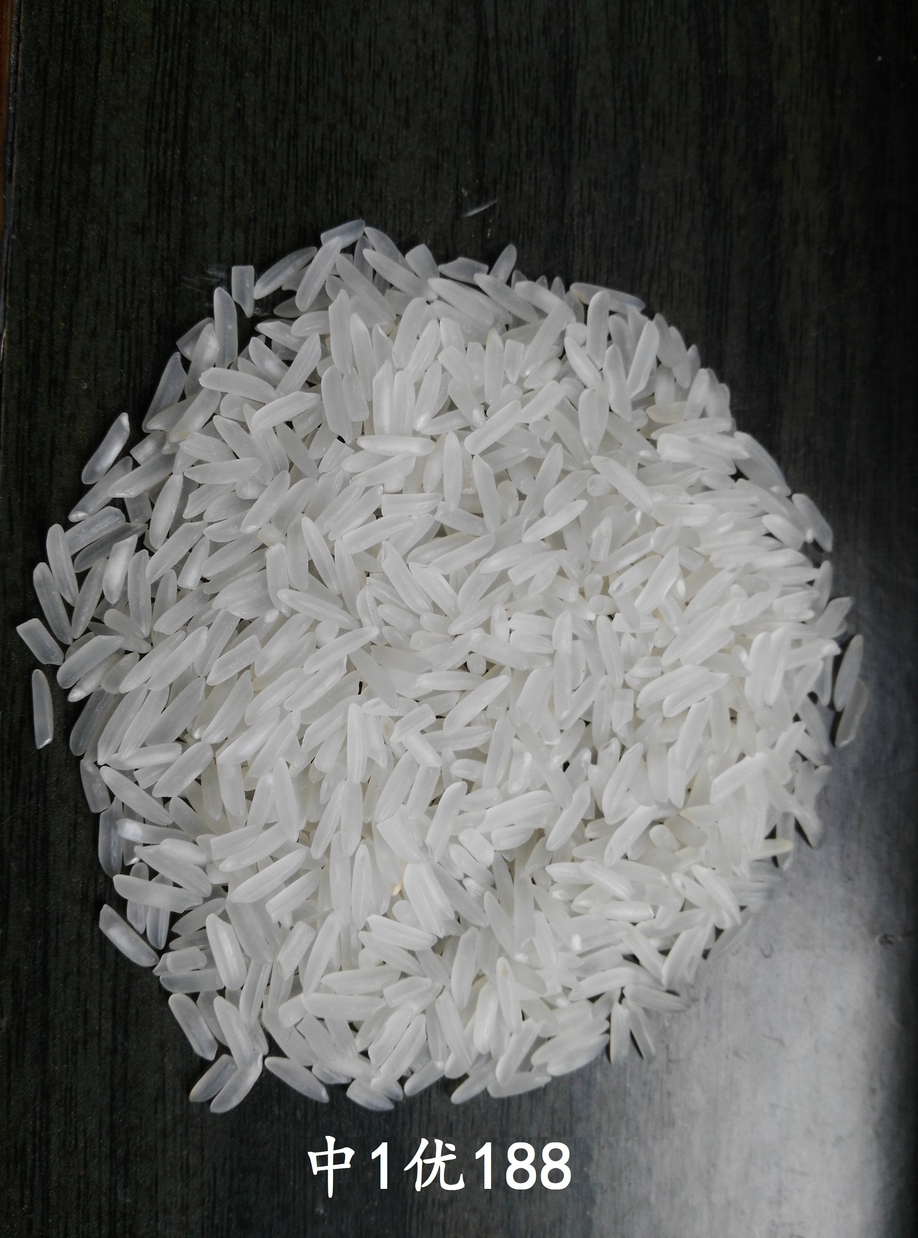 贵妃香 水稻种子 500g 6瓶包邮 长谷子 泰米品质 超级稻 很好吃