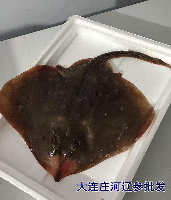 铧子鱼图片,花图片,头像图片_大山谷图库