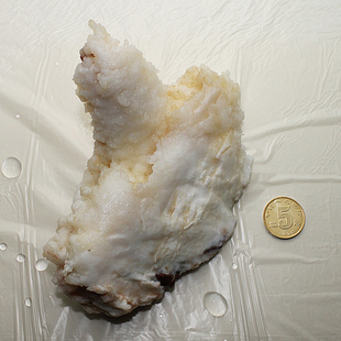 野生石太岁 肉灵芝 采自长白山地下溶洞 重约120克 二两多