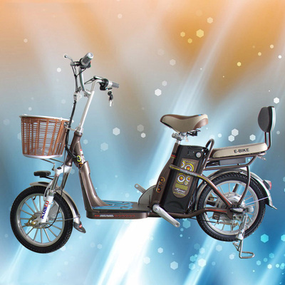 快鹿之星16寸一体轮48v电动自行车锂电电动车助力代步车