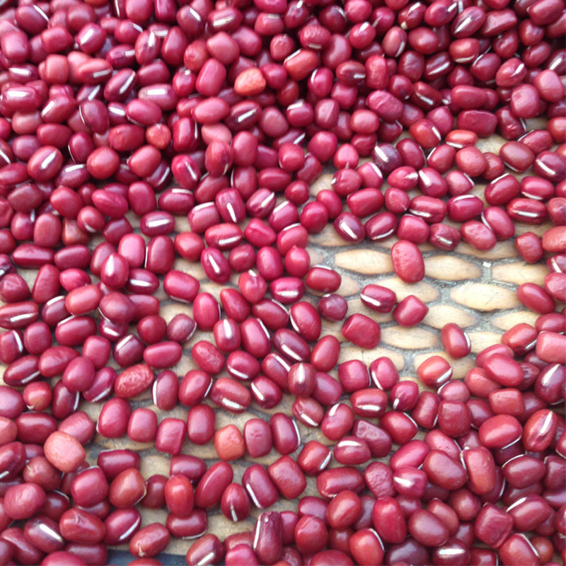 红豆薏米粉红小豆农家自产五谷粮食大红豆赤豆纯天然红豆散装500g