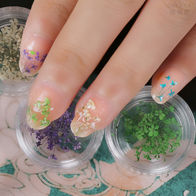 美甲干花指甲贴纸透明花仙子甲油胶裸色指甲油胶贴花美甲饰品套装