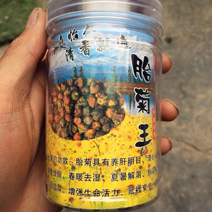 西藏特产正宗野生冰山雪菊王新鲜天然雪菊50克罐装雪菊胎菊养生茶