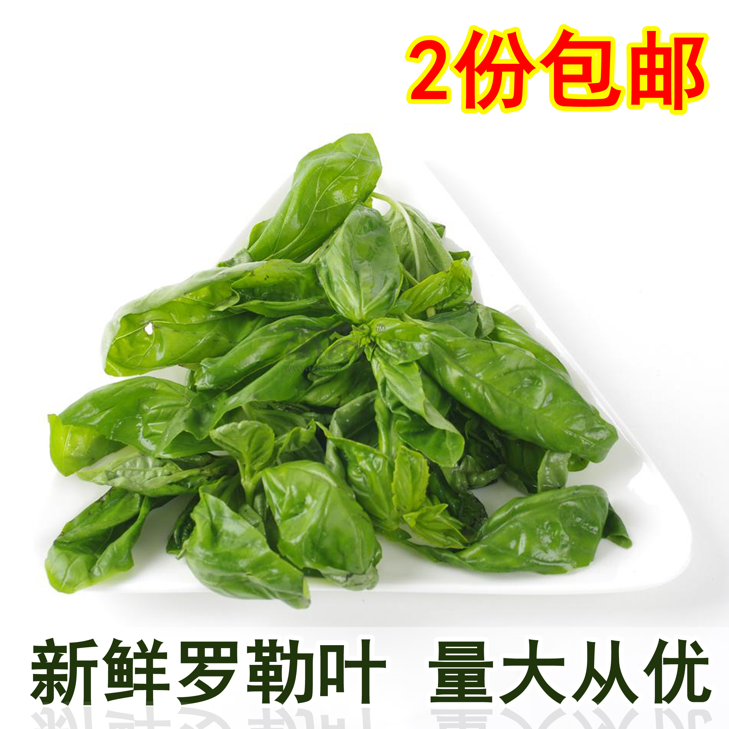 新鮮意大利羅勒250g 綠色香草 羅勒葉 甜羅勒 西餐用料 特價