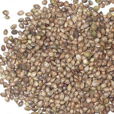 火麻仁 6斤包邮 广西巴马 火麻子 500克6.5元 中药材供应