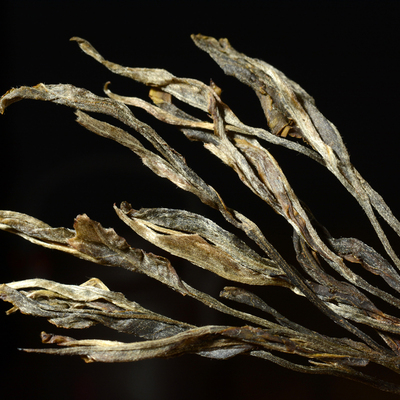 普洱茶生茶 勐库 大雪山古树茶散茶 野生茶 05年把把茶 促销 包邮